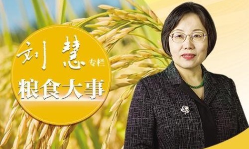 烤乳鸽的做法-烤乳鸽的吃法大全网—知名的烤乳鸽怎么做好吃网站,分享烤乳鸽窍门知识