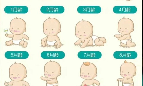 烤乳鸽窍门-烤乳鸽的吃法大全网—知名的烤乳鸽怎么做好吃网站,分享烤乳鸽窍门知识